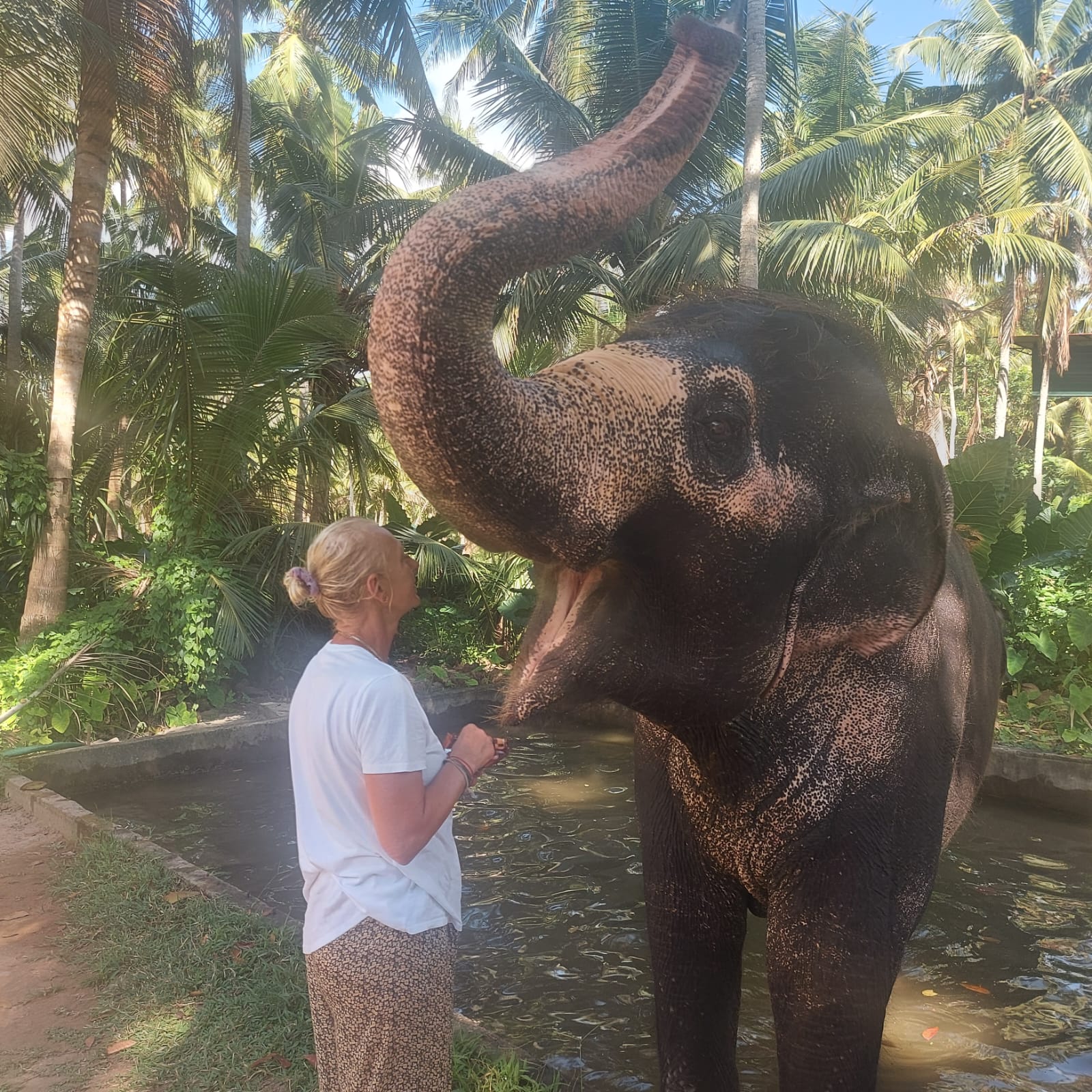 Projekt 3: Naturschutz